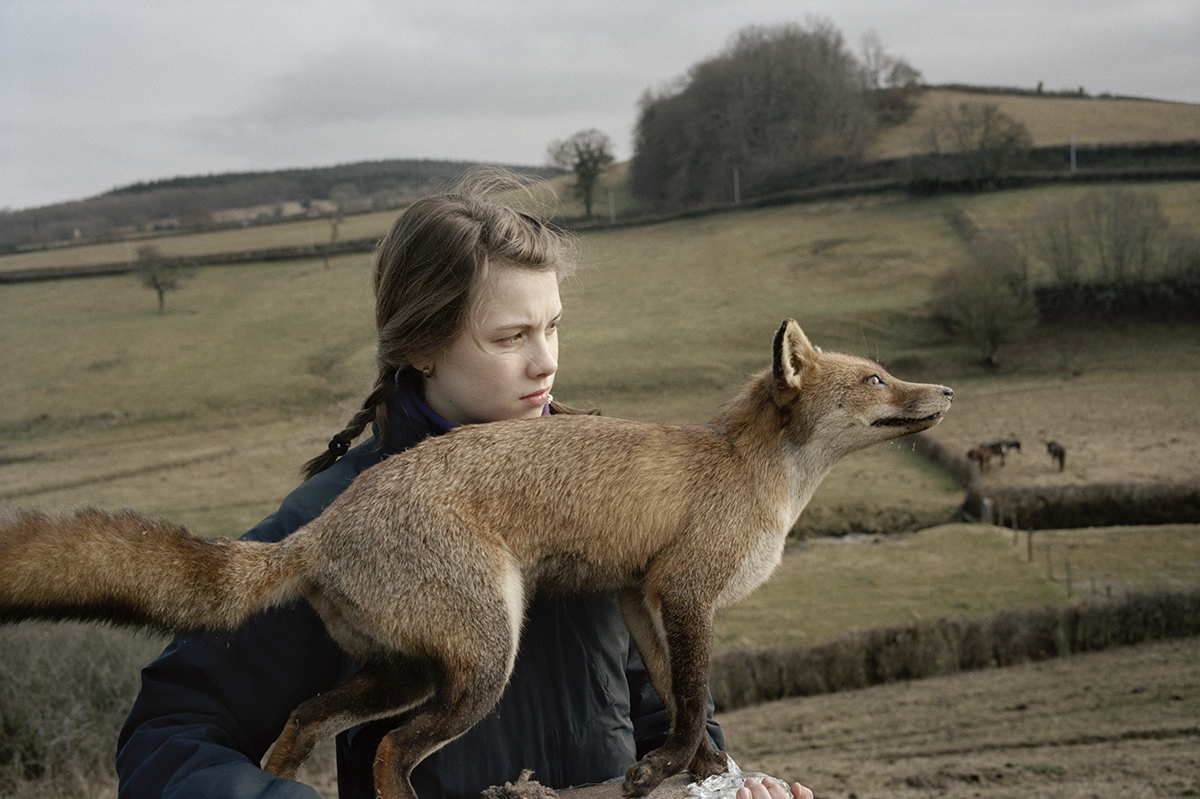 Sasha, Le renard, 2009. Une photo de Claudine Doury.
